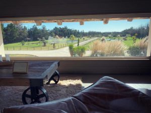 Lire la suite à propos de l’article Chambre romantique en Camargue, réservez vite la votre !