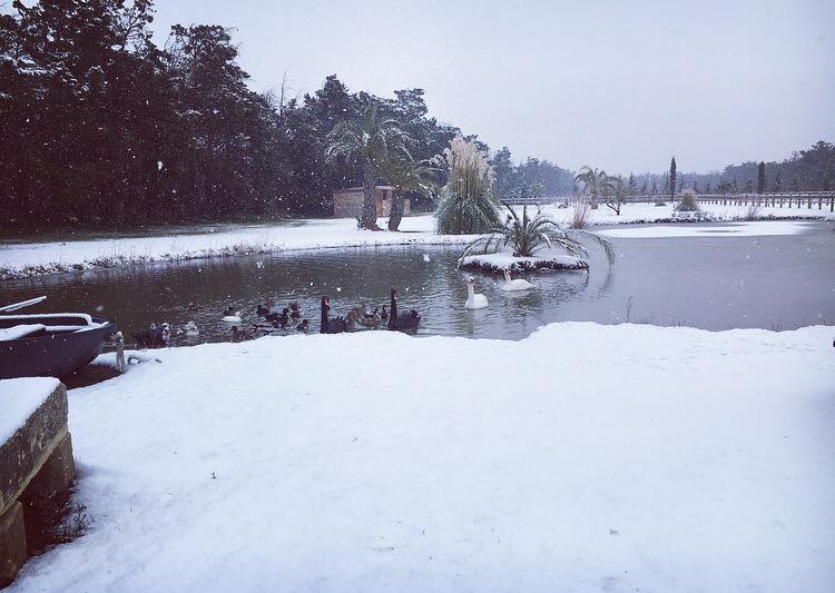 Un Noel sous la neige à l'Abri Cosy