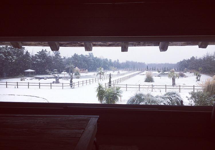 Un Noël romantique en Camargue à l'Abri Cosy sous la neige!