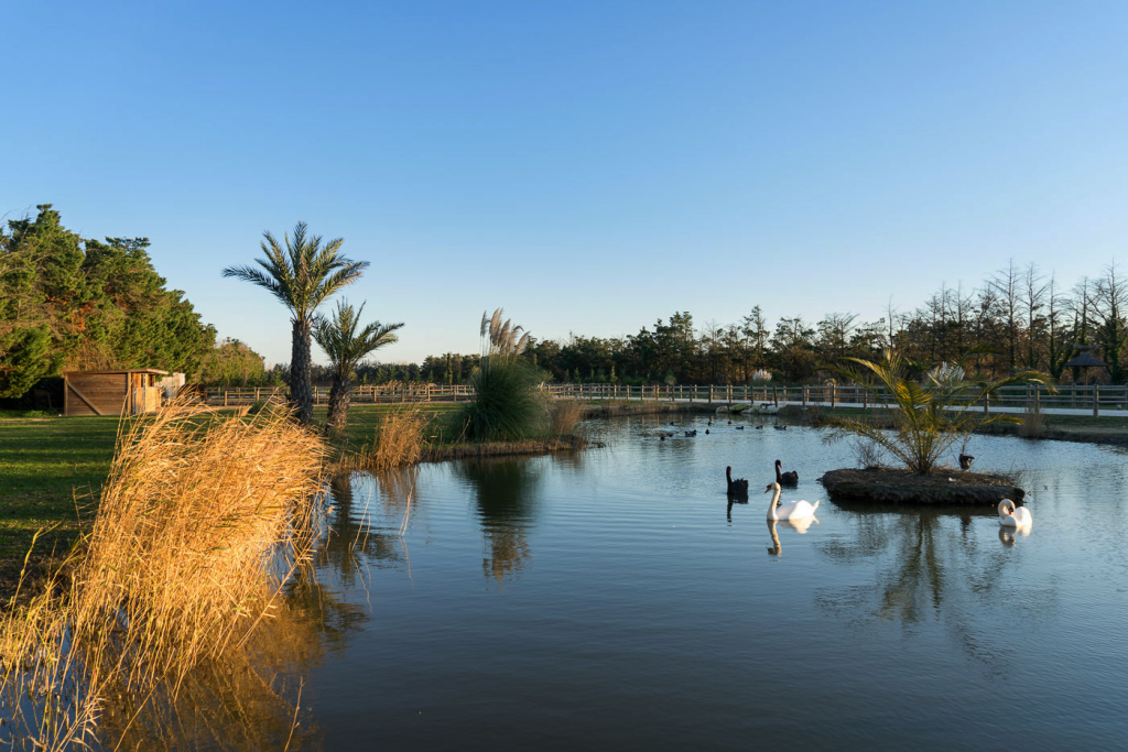 Parc de l'Abri Cosy