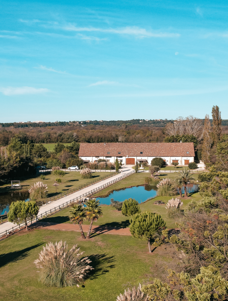 Vacances en famille en Camargue